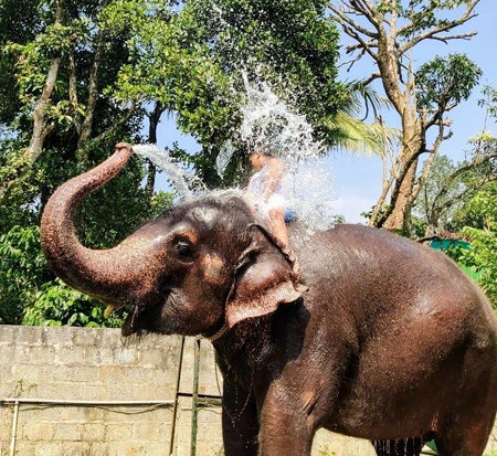 The Serene Horizon, Luxury Resort in Thekkady