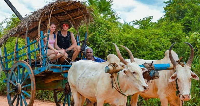 The Serene Horizon, Luxury Resort in Thekkady