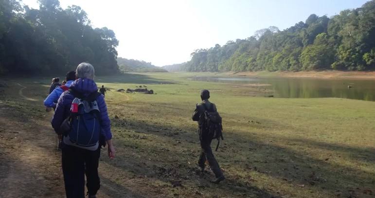 The Serene Horizon, Luxury Resort in Thekkady