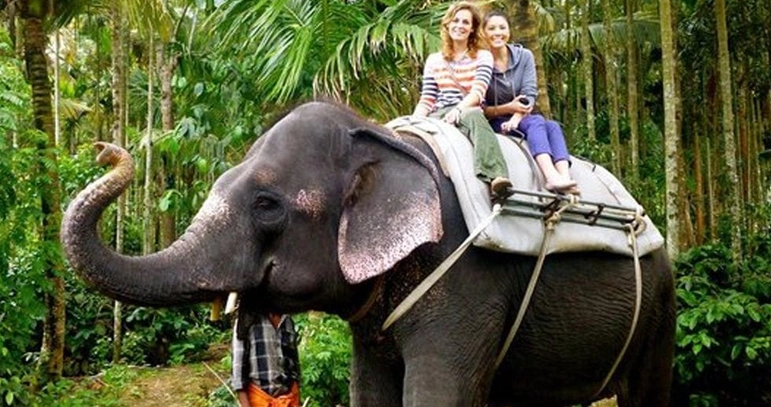 The Serene Horizon, Luxury Resort in Thekkady