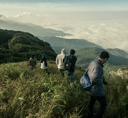 The Serene Horizon, Luxury Resort in Thekkady