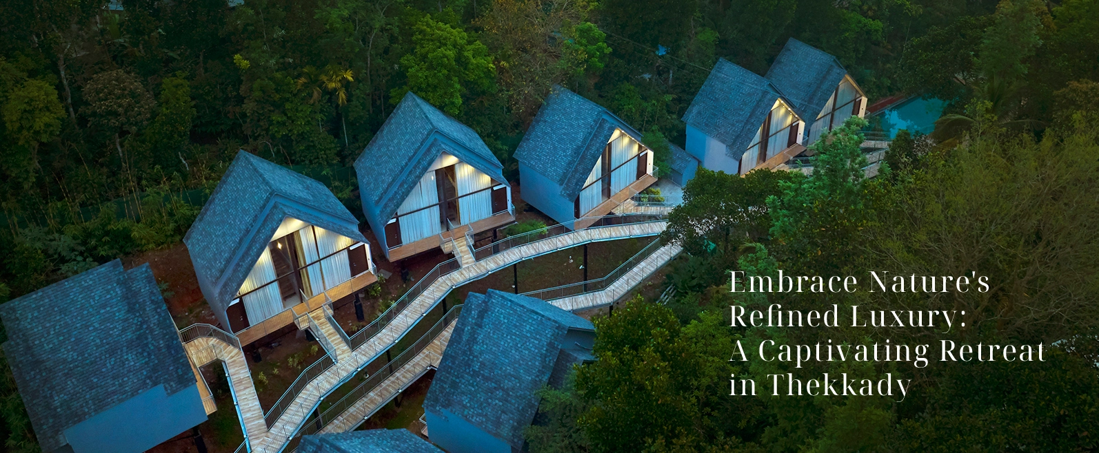 The Serene Horizon, Luxury Resort in Thekkady
