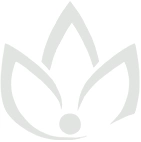 The Serene Horizon, Luxury Resort in Thekkady